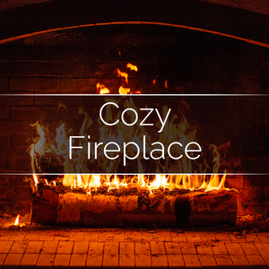Cozy Fireplace - 14oz Filled Candle - Phoenix Wick