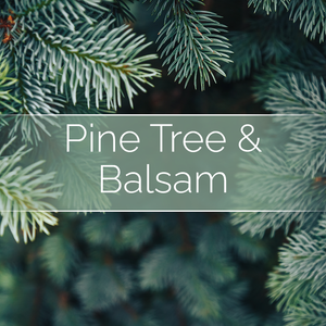 Pine Tree & Balsam - 14oz Filled Candle - Phoenix Wick